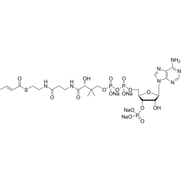 Crotonyl-CoA tetrasodium